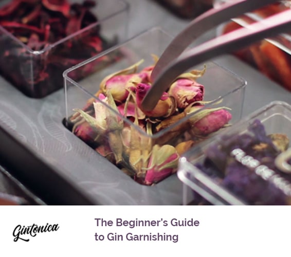 Blog Beginners Guide Gin Garnishing