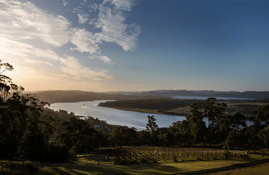 The view of the Tamar River at Turner Stillhouse 